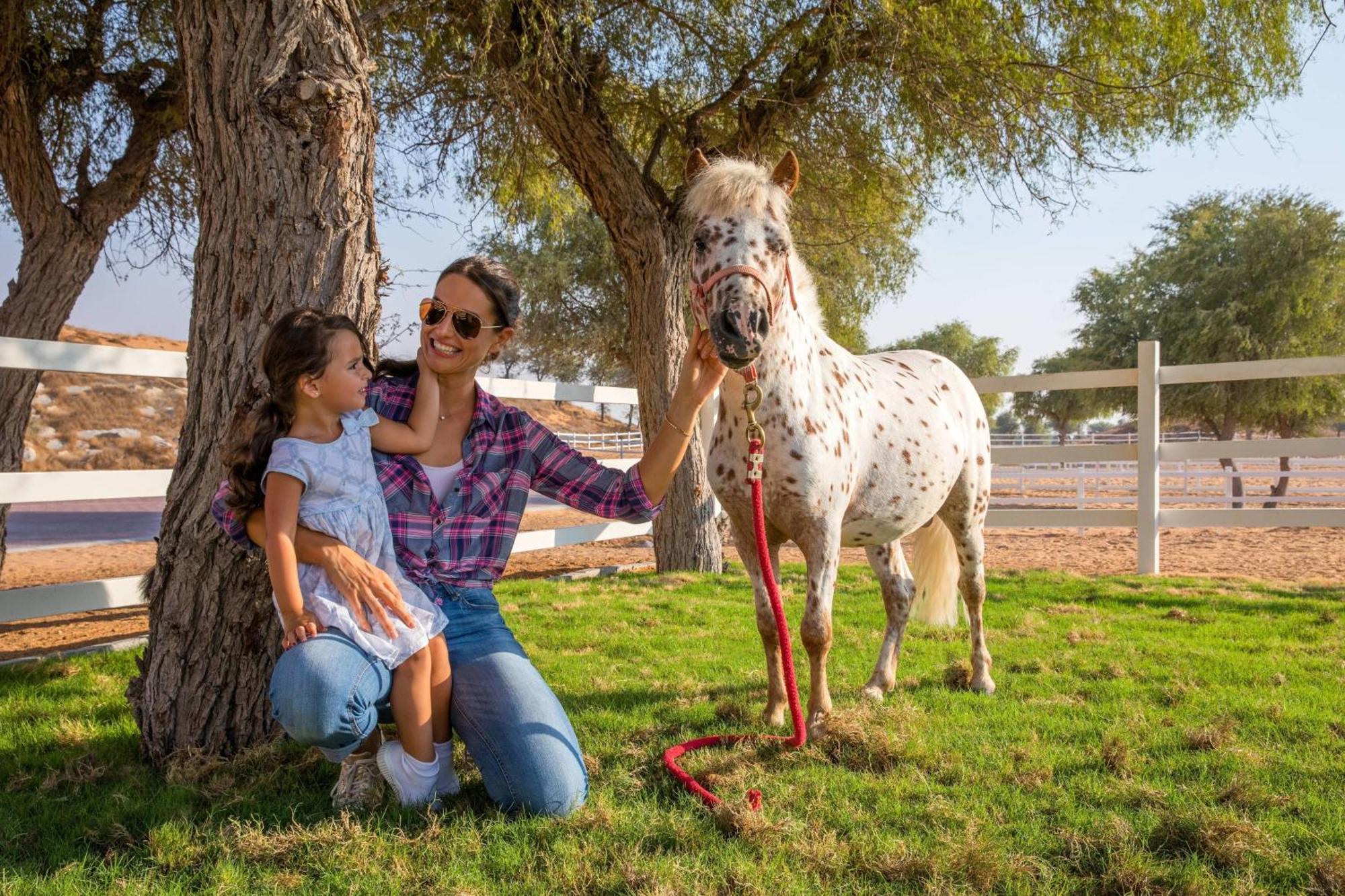 فندق ريتز كارلتون رأس الخيمة,صحراء الوادي المظهر الخارجي الصورة Al Shaqab